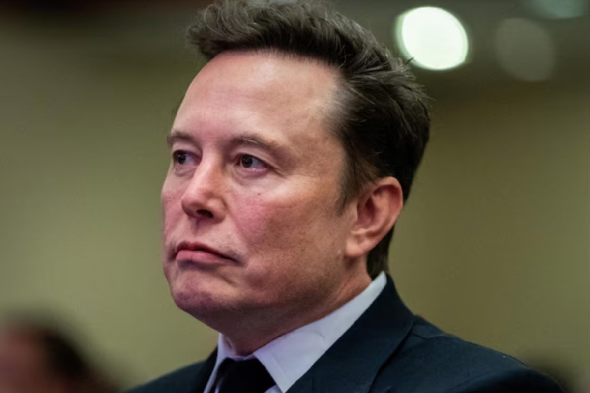 Why Is Elon Musk In The White House?
