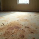 dirty carpet accumulating dust and stains without professional cleaning